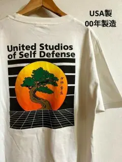 Item thumbnail for item 83a8285e-77ae-4195-81f4-6cfef17b923a