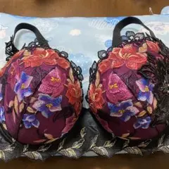 新品ワコール サルート ブラジャー F80