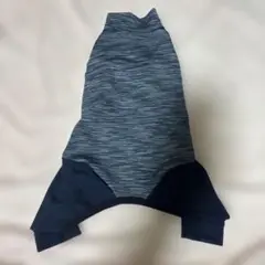 VERYラッシュガードロンパースD3
