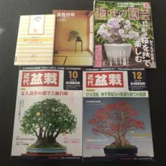 Item thumbnail for item 181e3b42-2763-4bcd-bbec-e38265ba648f