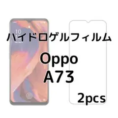 ハイドロゲルフィルム Oppo A73 2枚 na