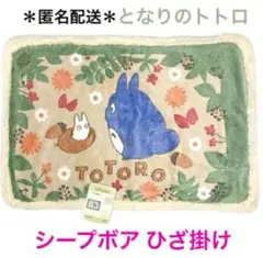 GBL 廃盤　レア　となりのトトロ　ブランケット　ボア