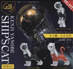 新品未使用!! ヤノベケンジ シップスキャット(Crew・黒)
