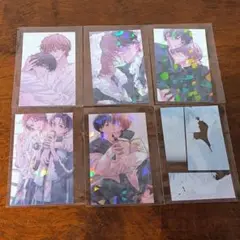 ピットスポルム トレーディングカード 5種 フェア特典 クリアカード