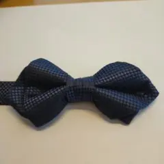 Item thumbnail for item fb06264b-8c15-4ac8-8200-52530a76cc94