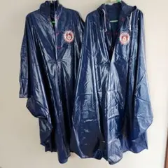 Item thumbnail for item b9078431-d866-466e-966c-71cd11dfa9b4