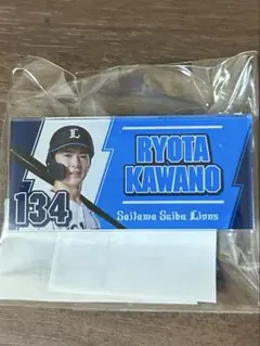 川野涼多選手直筆サインカード 埼玉西武ライオンズ 川野涼多選手直筆サインカード 埼玉西武ライオンズ