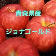 ★期間限定★青森県産 ジョナゴールド りんご 家庭用 6~8玉 ㊹