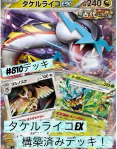 タケルライコex 構築済みデッキ