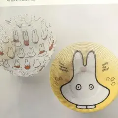 【未開封】空気の器　miffy the ghost　ミッフィー　ブルーナ 1枚入