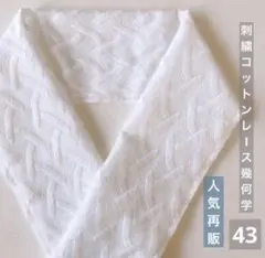 6度目の再販◆半襟43【刺繍コットンレース 幾何学　オフホワイト】