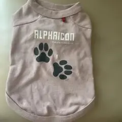 Item thumbnail for item d6f799b7-e627-4523-bdb0-3670071f15d4