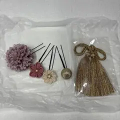 Item thumbnail for item 86976792-be69-4d16-9bd8-1ecded4eb208