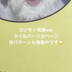 ヨンモン　笑顔　3D ネイルパーツ　txt プルバトゥ①⑦