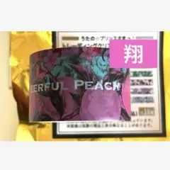 クリアマステ　翔