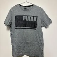 PUMA グレー Tシャツ