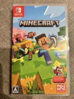 Minecraft Nintendo Switch