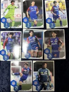 ヴァンフォーレ甲府2025オフィシャルトレーディングカード