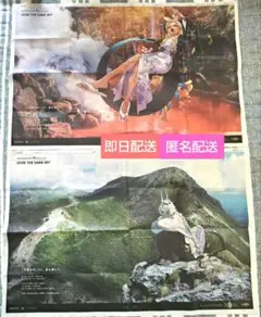大分合同新聞 2枚セット 17日・18日号 FGO アルジュナ オルタ ヴリトラ