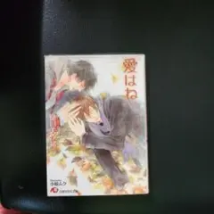 樋口美沙緒作品 愛はね、
