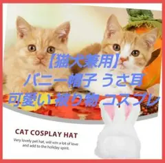 Item thumbnail for item 0cb50a84-f87c-44d3-816b-3ba4302aaffa