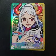 ヤマト　リーダーパラレル