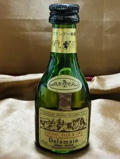 Delamain Napoleon コニャック 古酒 Delamain Napoleon コニャック 古酒 ブランデー