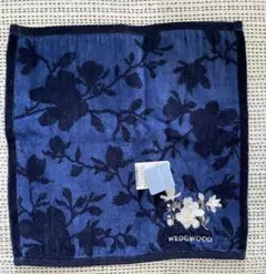 Item thumbnail for item e2160682-3b1a-4751-9381-6a8111c6ee1d