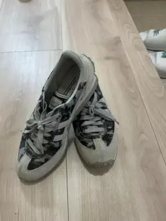 Item thumbnail for item 02d6052c-b421-4c87-87d3-5928793c573c