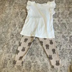 Item thumbnail for item 4c0f11e5-a355-4908-bdfc-70d47f6f19f0