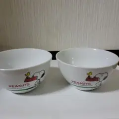 Item thumbnail for item f7e0d319-2e6b-4b02-b64d-a4146d76f7b8