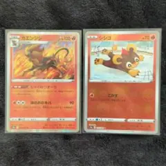 カエンジン & シシコ ポケモンカードセット
