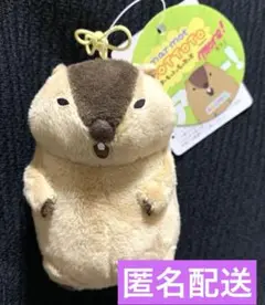 マーモットのもっとっとモア vmc マスコット ぬいぐるみ