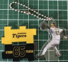 阪神タイガース　2024シークレットアクリルキーホルダーアクリルスタンド湯浅京己