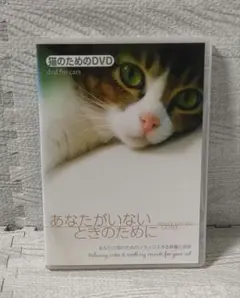 猫のためのDVD あなたがいないときのために