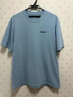 patagonia ライトブルー Tシャツ Mサイズ