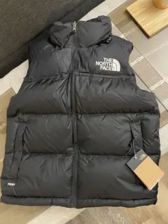 Item thumbnail for item 597cf1b4-4d15-4d23-870e-accc71fb5522