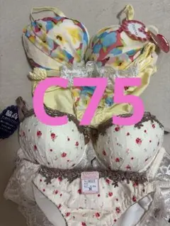新品タグ付き⭐︎フラワープリント ブラジャーショーツセット C75×2セット