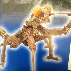 カマキラス 東宝怪獣コレクション 未組立て