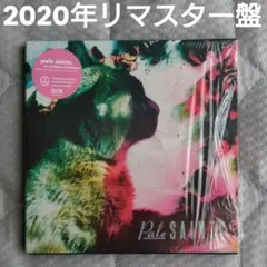 Pale Saints 2CD ペイル・セインツ 狂気のやすらぎ シューゲイザー