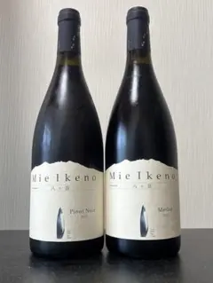 Mie Ikeno Merlot & Pinot Noir2本　2022 2022 Domaine Mie Ikeno Merlot, Yatsugatake, Japan | prices