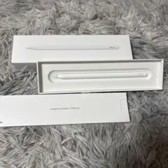 Apple Pencil 第2世代 純正品 正規品 付属あり