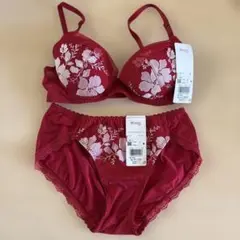 Wingブラジャー&ショーツセット