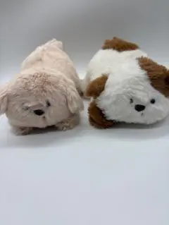 【タグ付き】Uchinoko 犬　ぬいぐるみセット