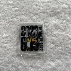 ザ・マッチ2022アクリルスタンド(レア有り)