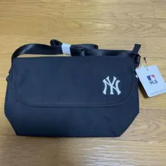 Item thumbnail for item 5b87f31f-e334-4987-816e-45d44a11cf02