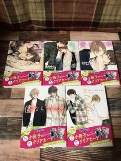 美しい彼　凪良ゆう／葛西リカコ　シリーズ5冊セット　未読品　文庫　小説