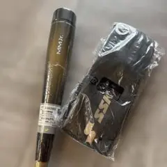 Item thumbnail for item 924f4ac0-d02b-4781-a12f-fac11eb22395