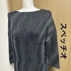 スペッチオ　シャトルプリーツ　ワンピース　40