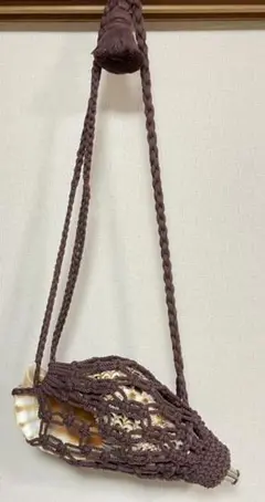 お買い得美品 特大法螺貝